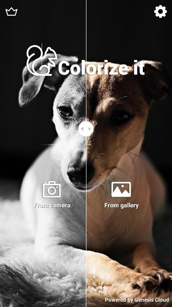 ColorizeItv1.1.15截图2
