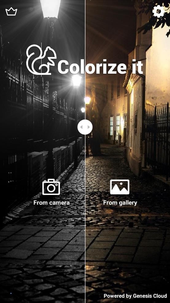 ColorizeItv1.1.15截图3