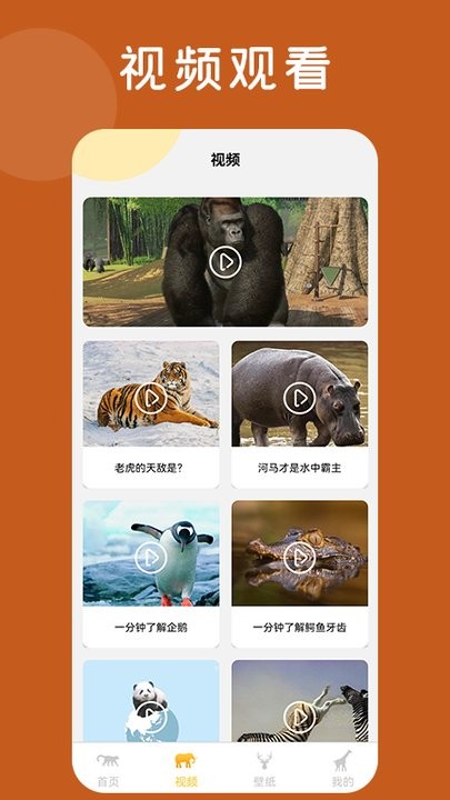 趣味动物园百科知识平台官网版v1.4截图2