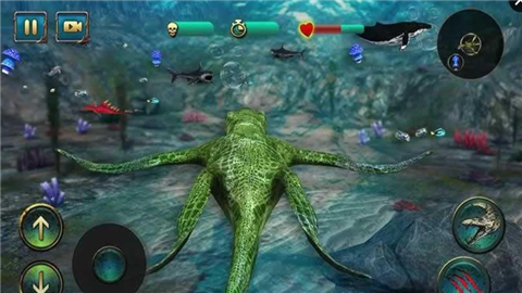 终极海洋食肉动物安卓版v1.5截图3