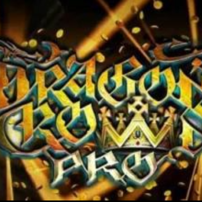 龙之皇冠PRO安卓版v1.5