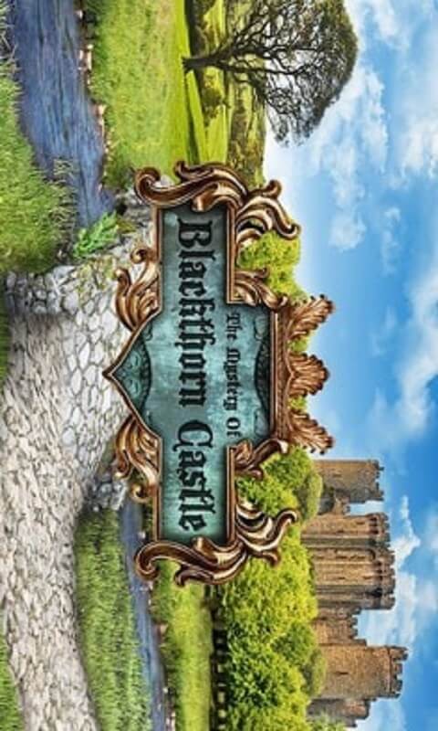 黑荆棘城堡之谜汉化版v2.4截图4