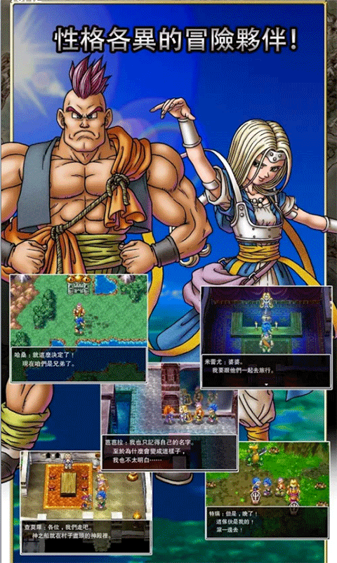 勇者斗恶龙6幻之大地移植版v1.1.0截图2
