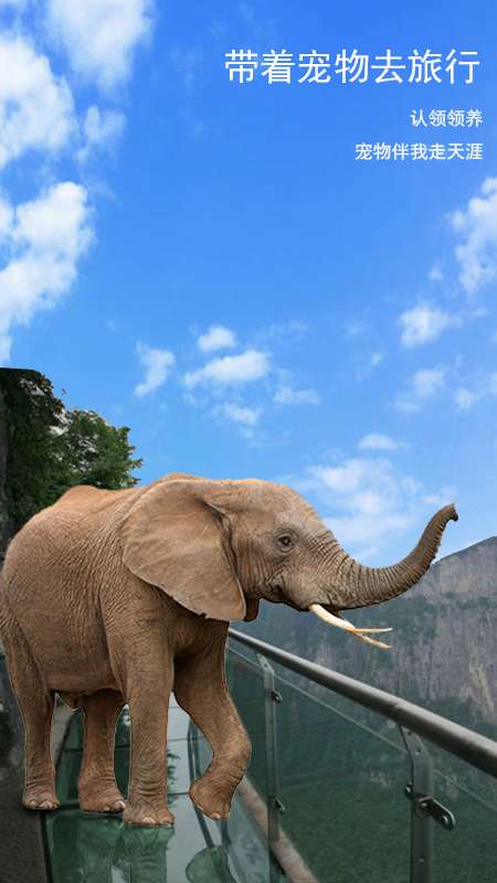 AR乐拍v1.3.10截图2