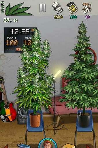 杂草事务所2回到大学v2.6.18截图2