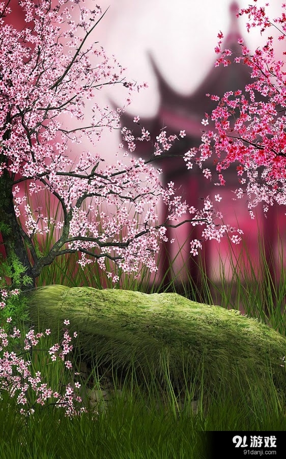 樱花动态壁纸v3.8.0.5截图2