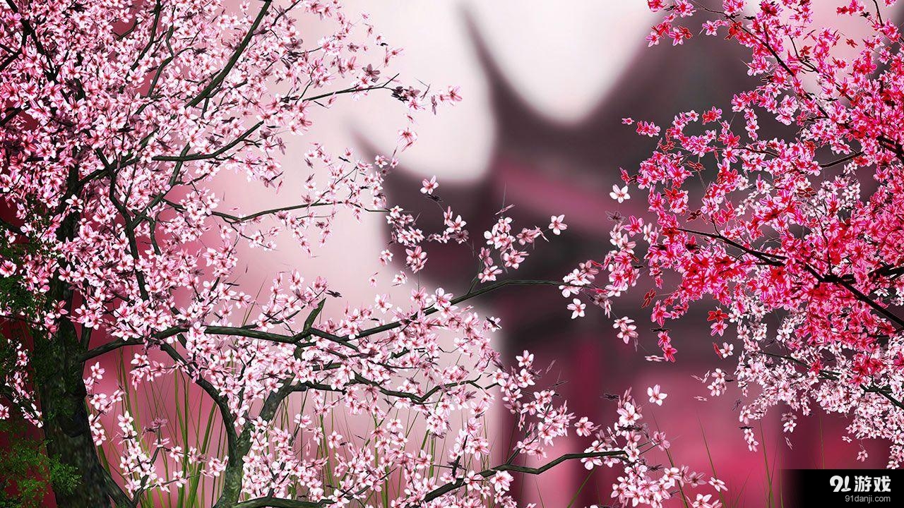 樱花动态壁纸v3.8.0.5截图1