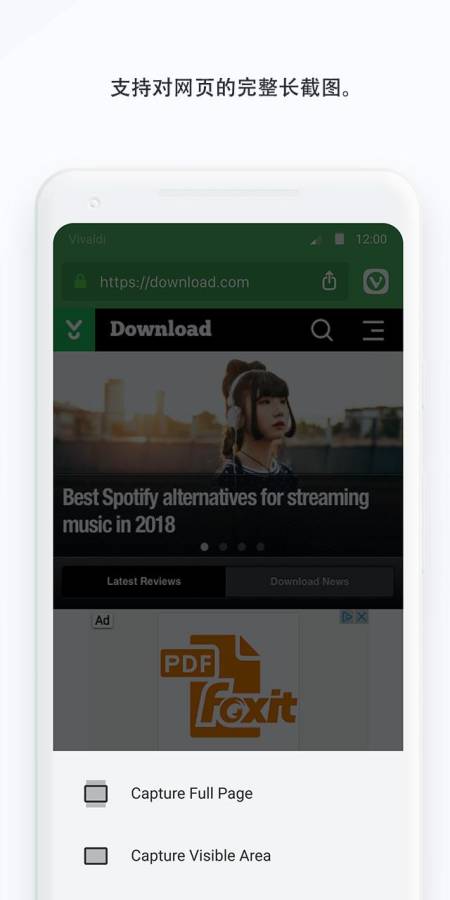 Vivaldi Betav2.15截图2