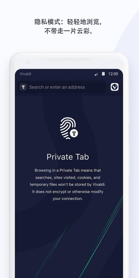 Vivaldi Betav2.15截图4