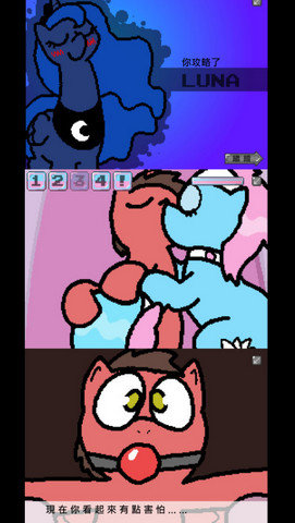 小马国的禁止事项v1.7.10截图3