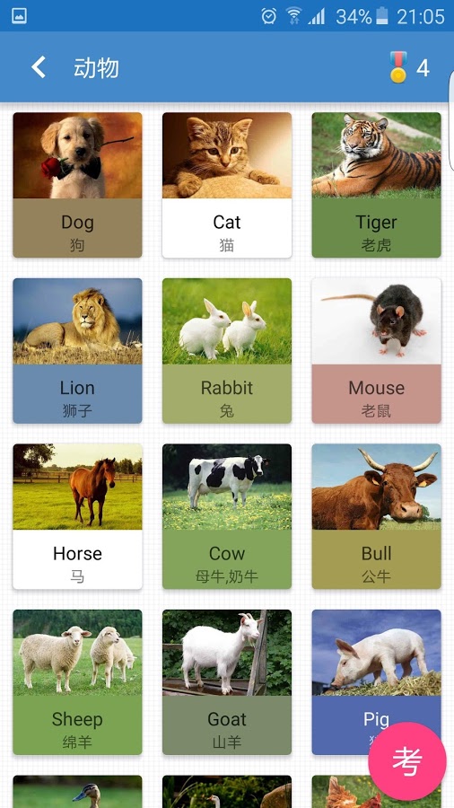 天天单词卡v1.13截图2