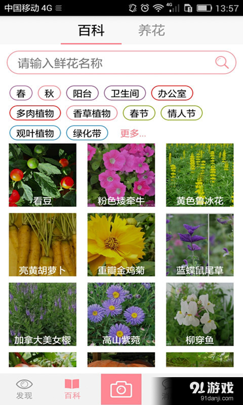 花开了v2.4.8截图3