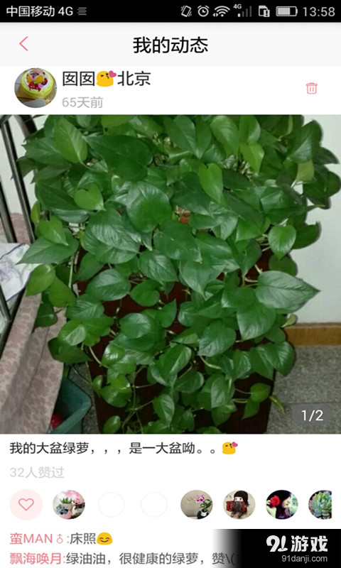 花开了v2.4.8截图5