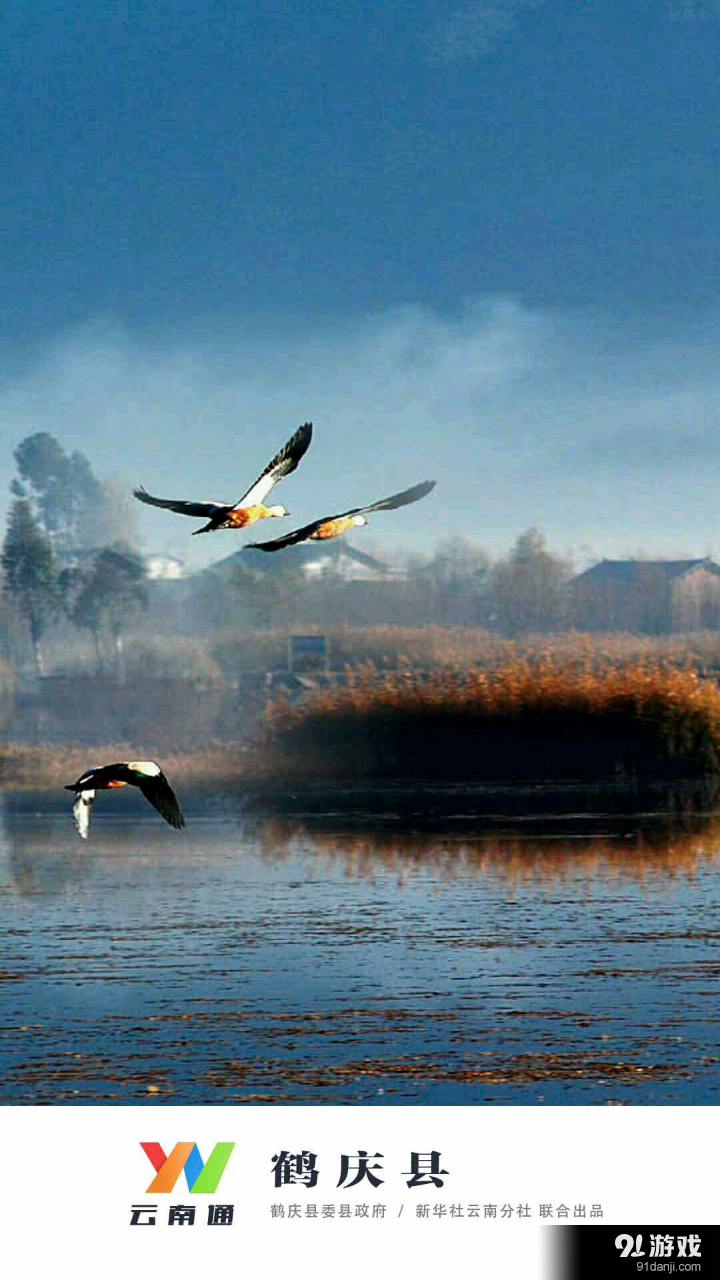 云南通·鹤庆县v1.2.25截图1