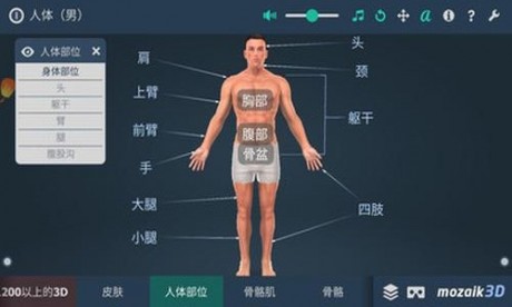 人体解剖3D模型v2.13截图2