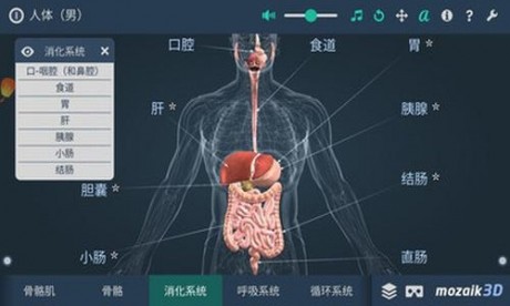 人体解剖3D模型v2.13截图1