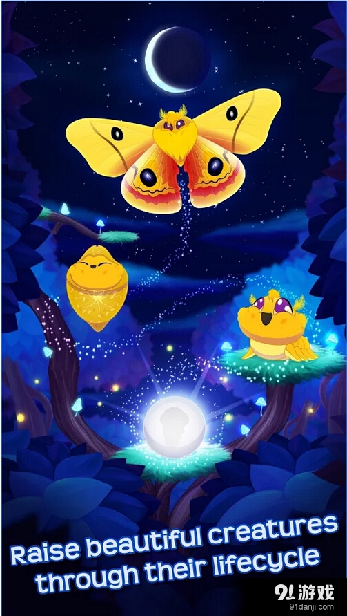 蝴蝶之星夜v1.9截图3