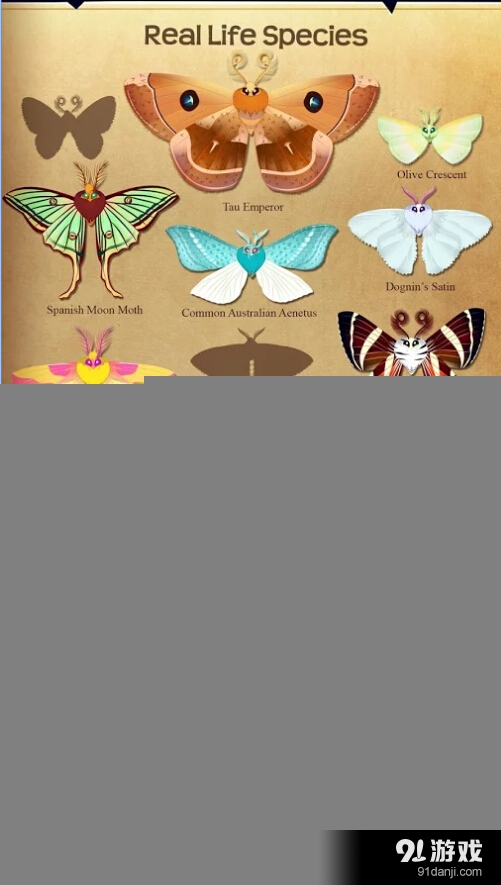 蝴蝶之星夜v1.9截图1