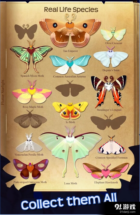 蝴蝶之星夜v1.9截图5