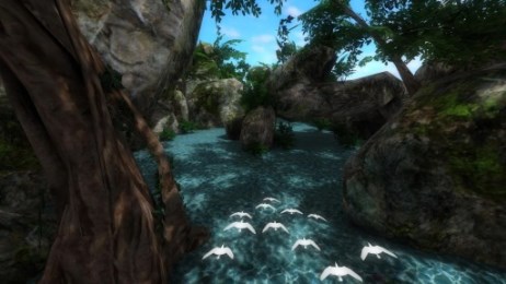 口袋妖怪空之花神v1.7.4截图4