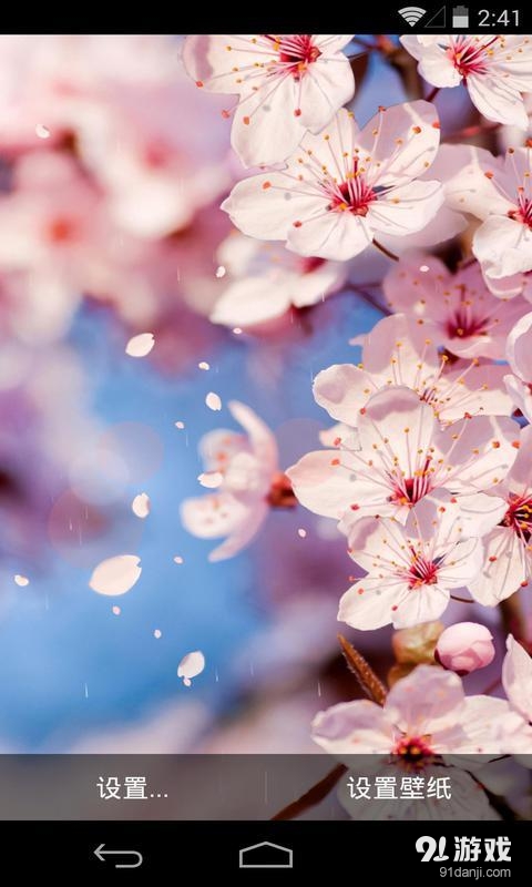 樱之恋v1.5.16截图1