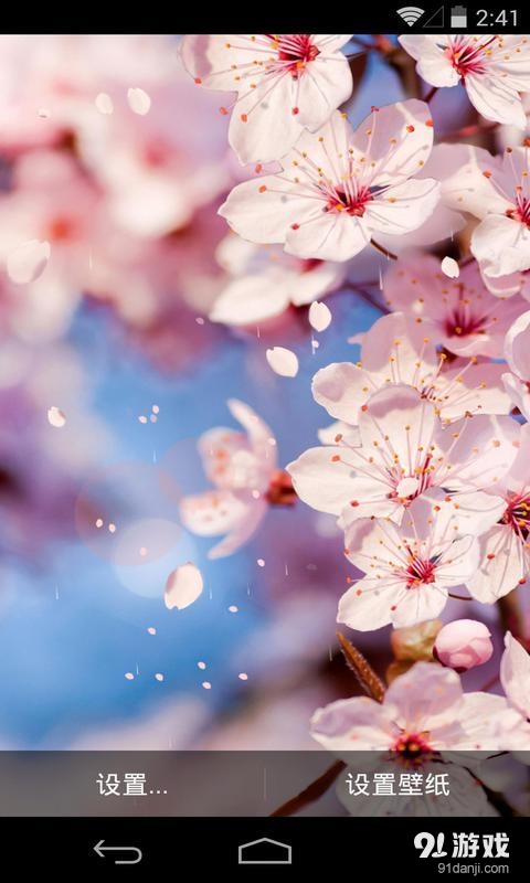 樱之恋v1.5.16截图3