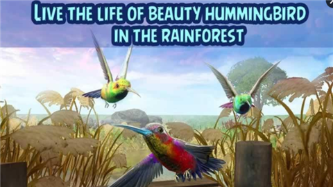 蜂鸟模拟器3Dv1.5截图1