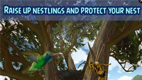 蜂鸟模拟器3Dv1.5截图3