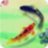 3D养金鱼动态壁纸v2.15