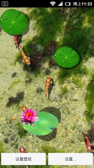 3D养金鱼动态壁纸v2.15截图3