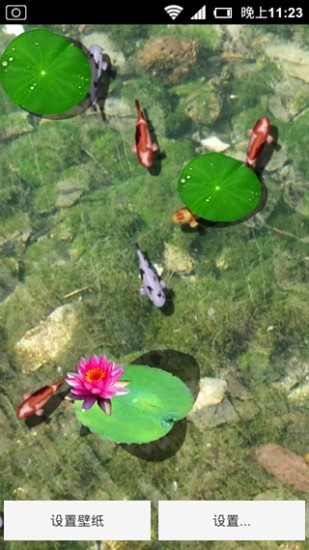 3D养金鱼动态壁纸v2.15截图2