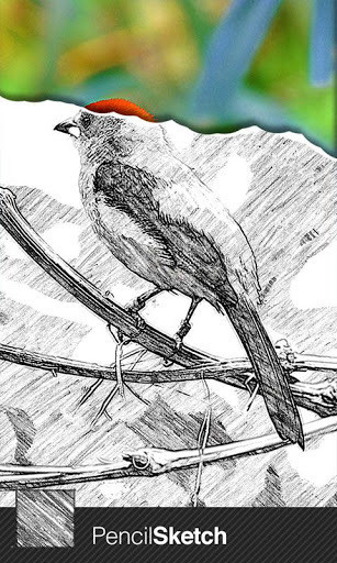 素描大师v1.72截图1