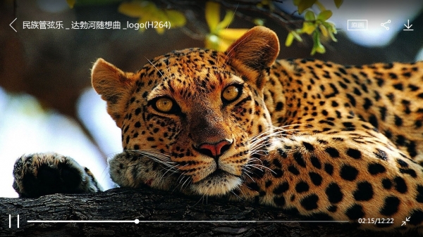 带鱼舞台v1.4.11截图4