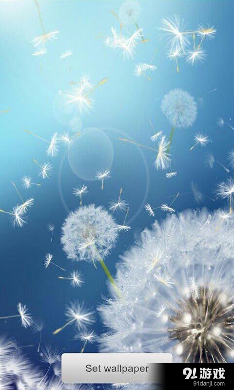 恋上蒲公英：梦象动态壁纸v1.5.11截图1