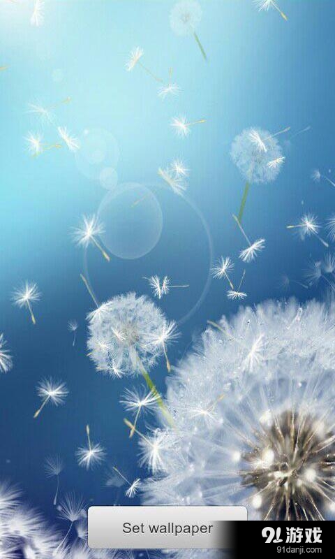 恋上蒲公英：梦象动态壁纸v1.5.11截图4