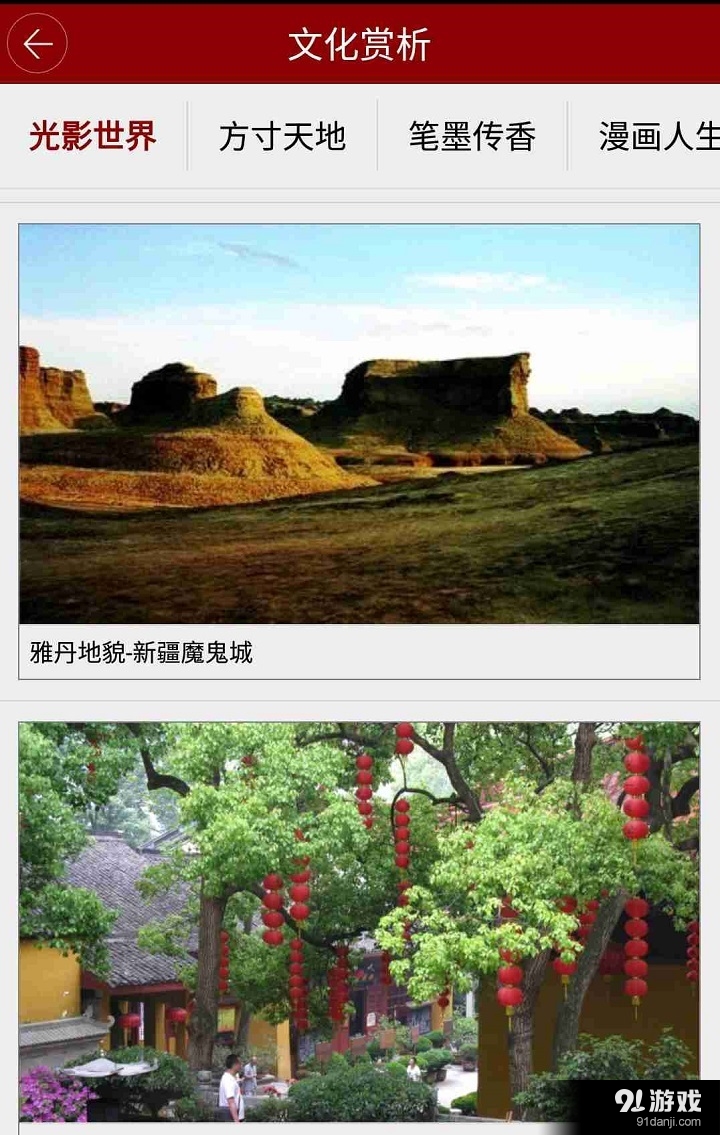 浙江民宗委v1.9截图3