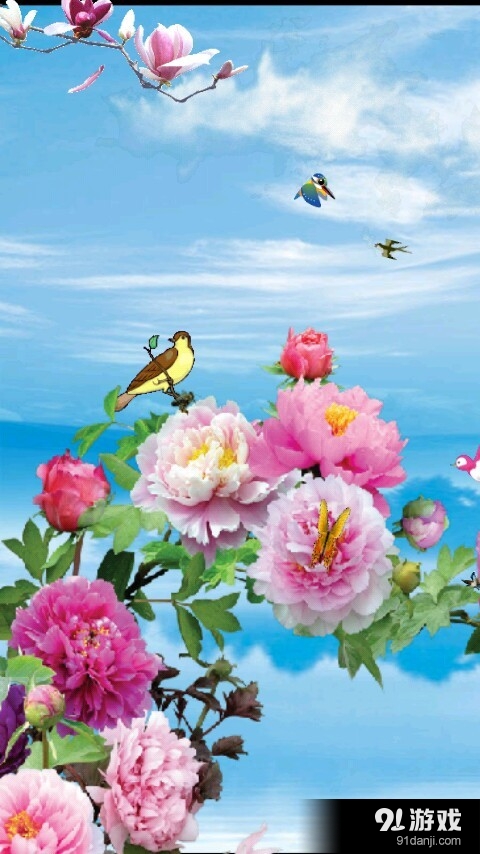 鸟语花香动态壁纸v1.3.14截图1