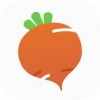 萝卜家园v2.4.5