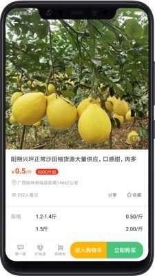 桃源明v1.7截图2