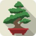 袖珍盆景v2.13