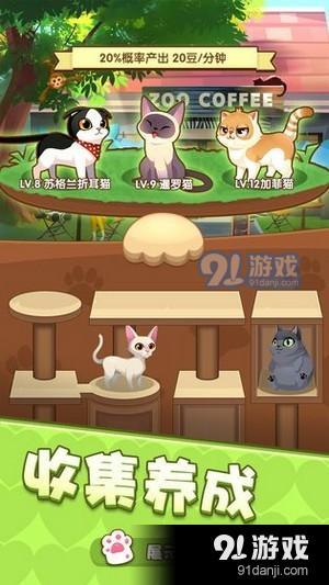 爱猫公社v3.47.24截图3