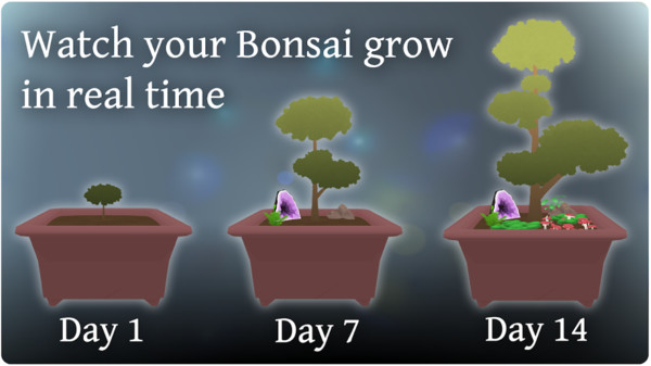 袖珍盆景v2.13截图2