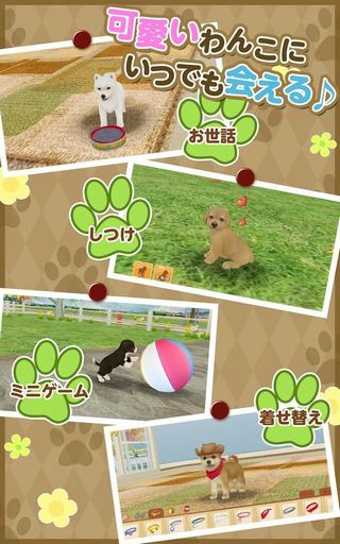 掌上狗狗v3.8.4截图3