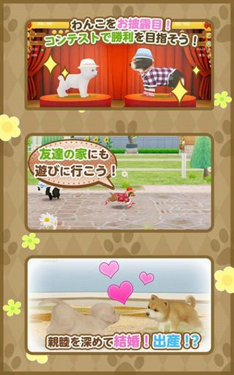 掌上狗狗v3.8.4截图4