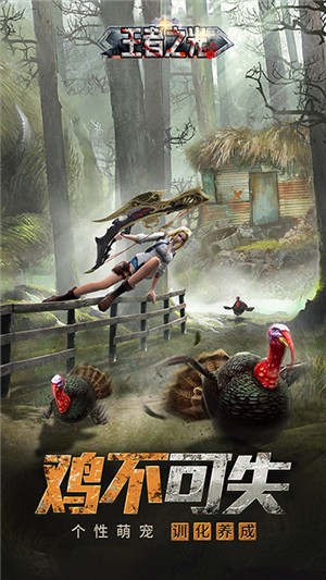 王者之光送充版v1.13截图5