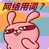 网络用词猜猜看v1.5.8