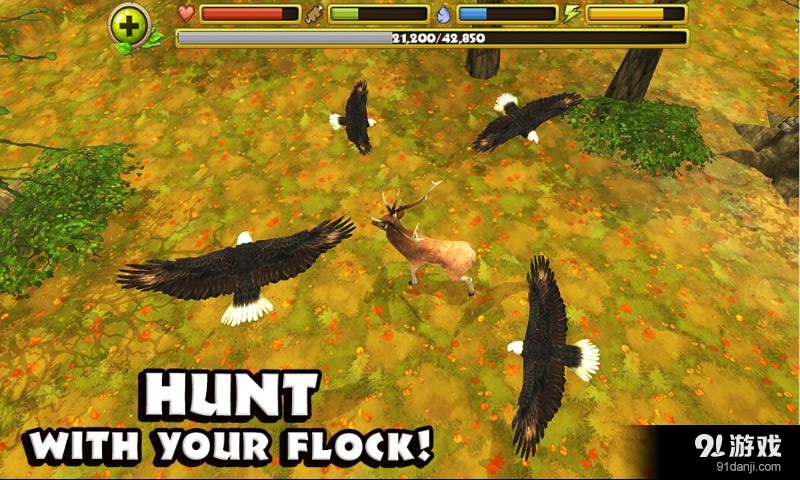 觅食苍鹰v1.9截图3