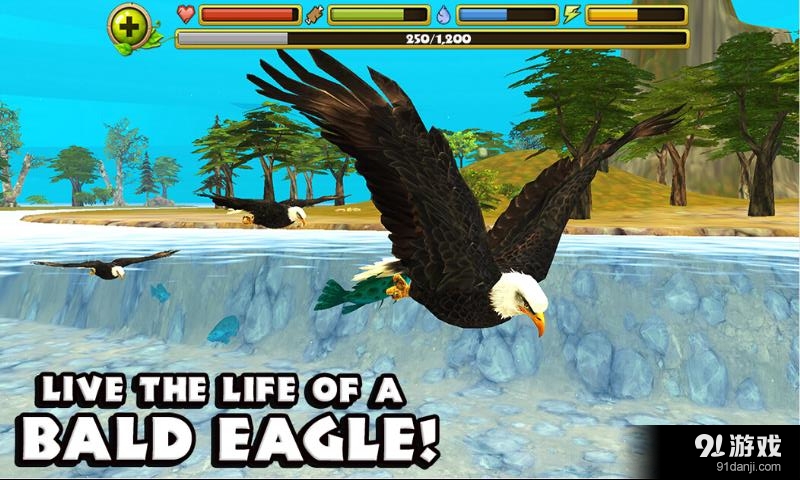 觅食苍鹰v1.9截图1