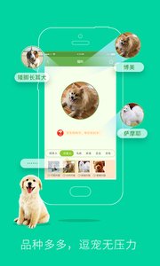 人狗人猫交流器v1.104截图1