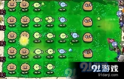 植物大战僵尸幼儿园版安卓免费版v6.4截图2